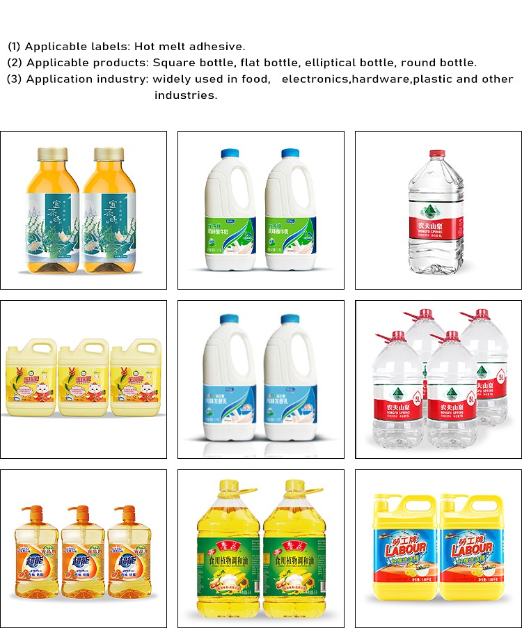 VK-HMGL-S Application